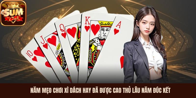 Năm mẹo chơi Xì Dách hay đã được cao thủ lâu năm đúc kết